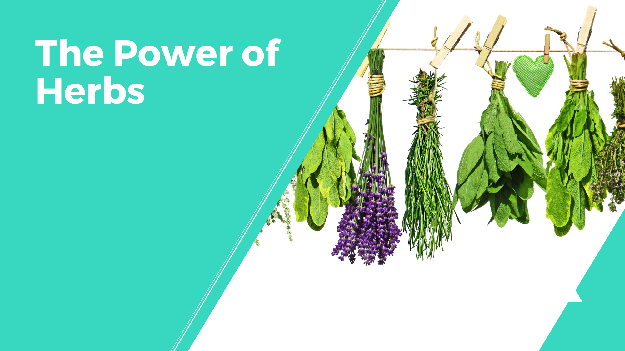 The Power of Herbs